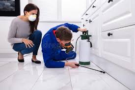 Reliable Kimberly, WI Pest Control Solutions