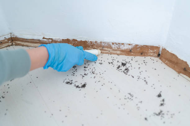 Best Residential Pest Control  in Kimberly, WI